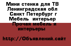 Мини-стенка для ТВ - Ленинградская обл., Санкт-Петербург г. Мебель, интерьер » Прочая мебель и интерьеры   